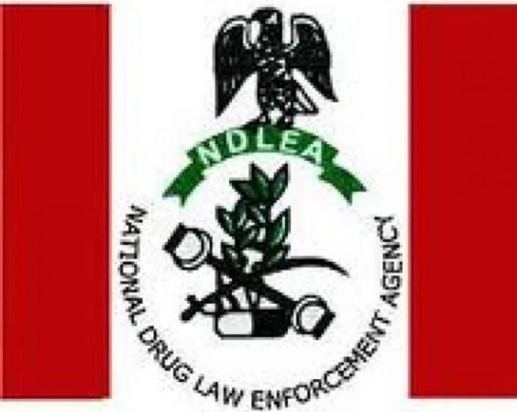 NDLEA Launches Online Platform for Drug Tests and Visa Clearance